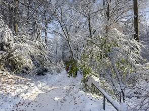 Winter impression, English Garden, Munich, Bavaria, Germany, Europe