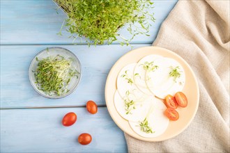 White cheese with tomatoes and cilantro microgreen on blue wooden background and linen textile. top