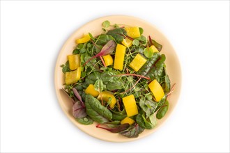 Vegetarian vegetables salad of yellow pepper, beet microgreen sprouts isolated on white background.