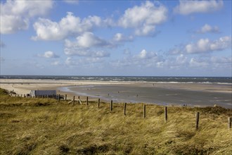 Dunes and beach, Texel, West Frisian Island, Province of North Holland, Netherlands