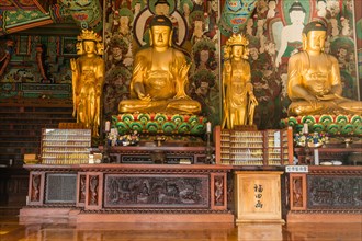 Golden statues of Buddha at temple in Gimje-si, South Korea, Asia