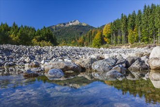 Dried out riverbed in autumn in front of mountains, Linder, behind Scheinbergspitze, Ammergau Alps,