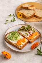 White bread sandwiches with cream cheese, calendula petals and microgreen on gray concrete