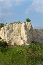 A limestone quarry surrounded by lush grass and wild red flowers under a blue sky, mountain with