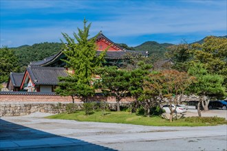Buildings of Buddhist temple behind lush trees on sunny day in Gimje-si, South Korea, Asia