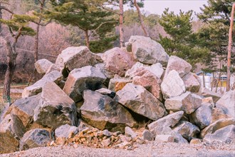 Closeup of large pile of boulders in countryside with evergreen trees in background in South Korea