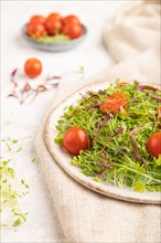 Vegetarian vegetables salad of tomatoes, celery, onion microgreen sprouts on gray concrete