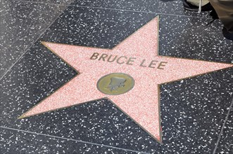 Walk of Fame, BRUCE LEE, Hollywood Boulevard, Los Angeles, California, USA, North America