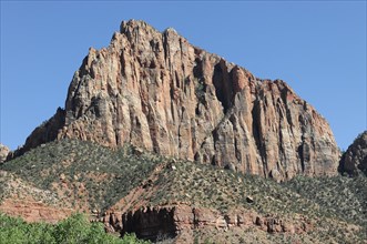 Rock face, Zion National Park, Utah, Arizona, USA, North America