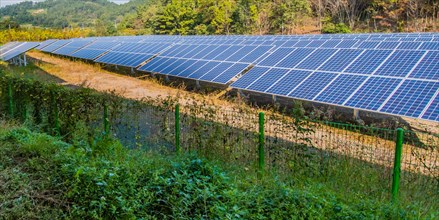 Large solar panel array in a woodland park in South Korea