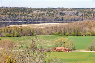 High angle view at a red house on a field in the swedish countryside with a lake and forest at