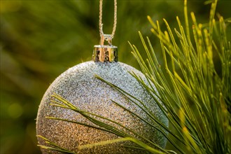 Closeup of silver textured Christmas ornament hanging on pine tree in South Korea