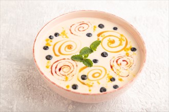 Yoghurt with bilberry and caramel in ceramic bowl on gray concrete background. side view, close up