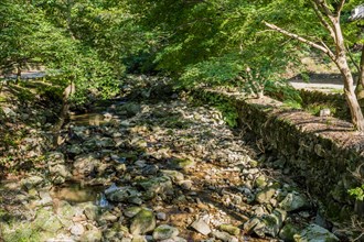 Shallow river with rocky riverbed in wilderness woodland park in Gimje-si, South Korea, Asia
