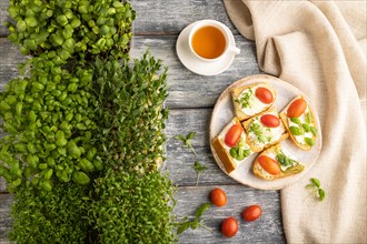White bread sandwiches with cream cheese, tomatoes and microgreen on gray wooden background and