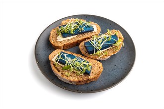Bread sandwiches with blue lavender cheese and mustard microgreen isolated on white background. top