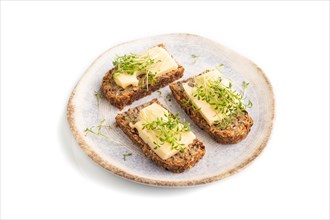 Grain bread sandwiches with cheese and watercress microgreen isolated on white background. side