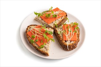 Grain bread sandwiches with red tomato cheese and mizuna cabbage microgreen isolated on white