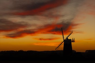 Windmill silhouetted at sunset with a red sky and clouds and three Pink-footed geese (Anser
