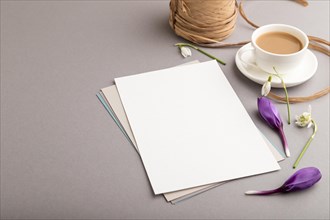 White paper sheet mockup with spring snowdrop crocus and galanthus flowers and cup of coffee on