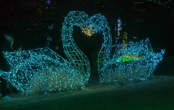 Two swan figurines made of wire and white Christmas lights kissing in a public park in Yeosu, South