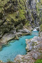 River flows through gorge, turquoise water, canyon, summer, Tolmin Gorge, Triglav National Park,