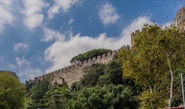 Wall of castle ruins behind treeline against blue partly cloudy sky in Istanbul, Tuerkiye