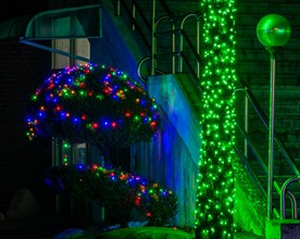 Christmas lights on sculpted evergreen trees next to concrete stairway in South Korea