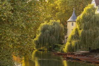 A peaceful picture of a boathouse surrounded by grazing trees in autumn at the golden hour