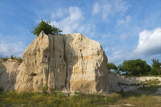 A solitary sandstone rock formed by erosion with a tree on top under a blue sky with clouds,