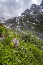 Green mountain valley Floitengrund with mountain stream Floitenbach, ascent to Greizer Huette,