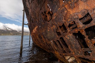 Rusty ship, shipwreck, abandoned herring factory Djupavik, Reykjarfjoerour, Strandir, Arnes,