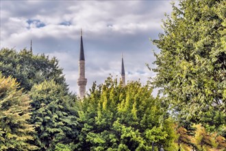 Minarets of mosque towering above trees with lush green foliage in Istanbul, Turkiye