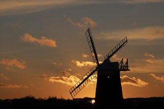 Windmill silhouetted at sunset with a red sky and clouds and a skein or flock of Pink-footed geese