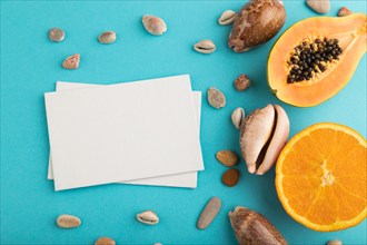 White paper business card with ripe cut papaya, orange, seashells on blue pastel pastel background.