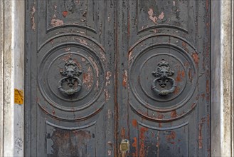 Two door knockers with lion heads on a large entrance door in the historic centre, Genoa, Italy,