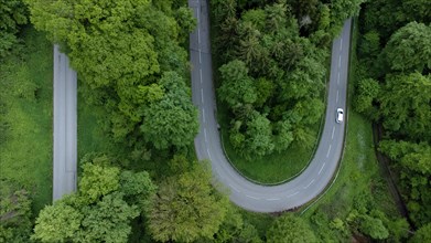 White car driving on serpentine road through green landscape, drone shot, Upper Bavaria, Bavaria,