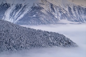 Snow-covered trees and mountains rising above a layer of fog, Belalp, Naters, Brig, Canton Valais,