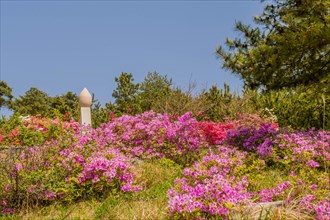 Top of war memorial behind flowerbed at nature park at Goseong Unification Observation Tower in