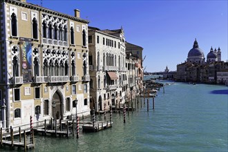 Grand Canal, behind the church of Santa Maria della Saluti, Venice, Veneto, Italy, Europe