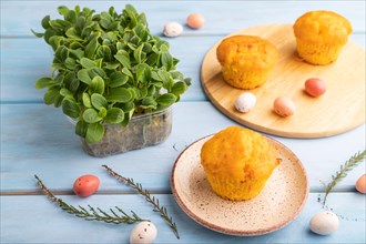 Homemade cakes with chocolate eggs and borage microgreen on a blue wooden background. side view,