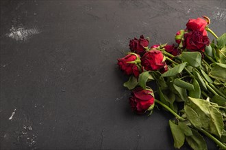 Withered, decaying, roses flowers on black concrete background. Side view, copy space, still life.