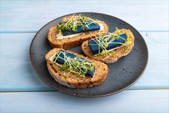 Bread sandwiches with blue lavender cheese and mustard microgreen on blue wooden background. side