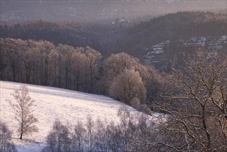 Winter impression, Elbe Sandstone Mountains, Saxony, Germany, Europe
