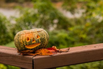 Jack-O-Lantern and fall leaves on wooden railing with blurred out background in South Korea