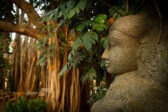 Stone sculpture of Goddess Laxmi, Banyan tree, Tamil Nadu, India, Asia