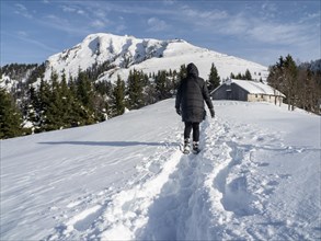 Winter mood, hiker walking through snowy landscape, Schafbergalm, near St. Wolfgang am Wolfgangsee,