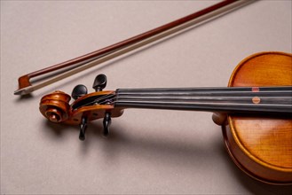 Part of a violin with bow in front of a white background, studio shot, Germany, Europe