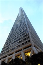 Transamerica Pyramid, city centre, San Francisco, California, USA, North America
