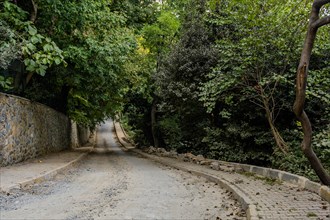 One lane rural road under treeline along old castle road in Istanbul, Tuerkiye